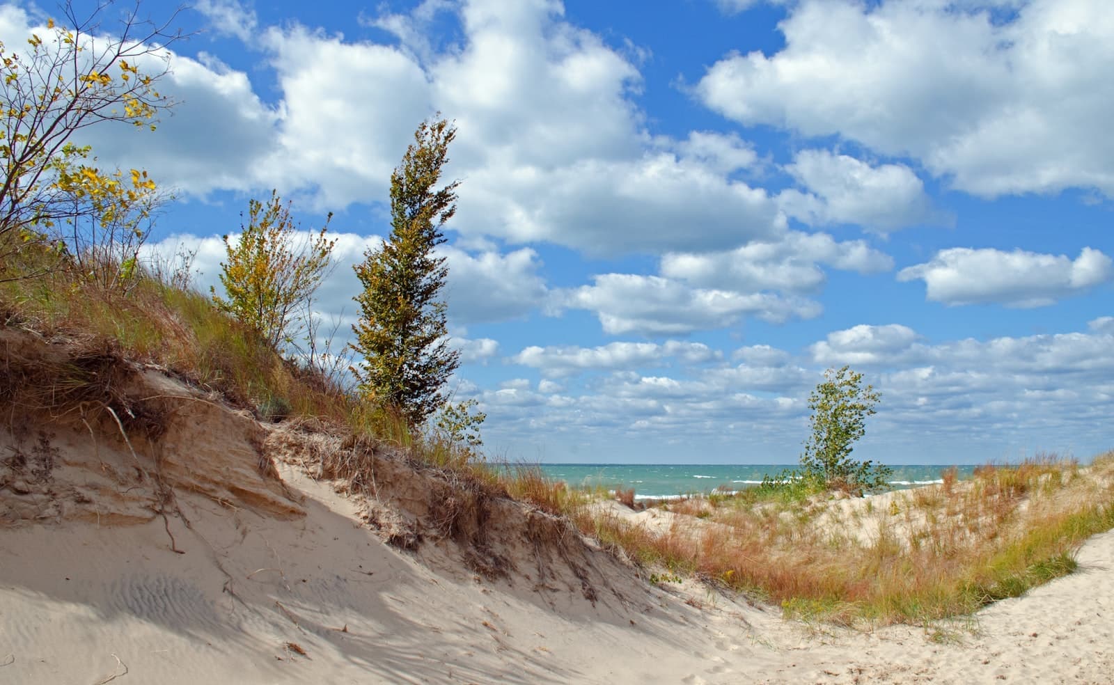 Dune overlook above the Lake Michigan shoreline