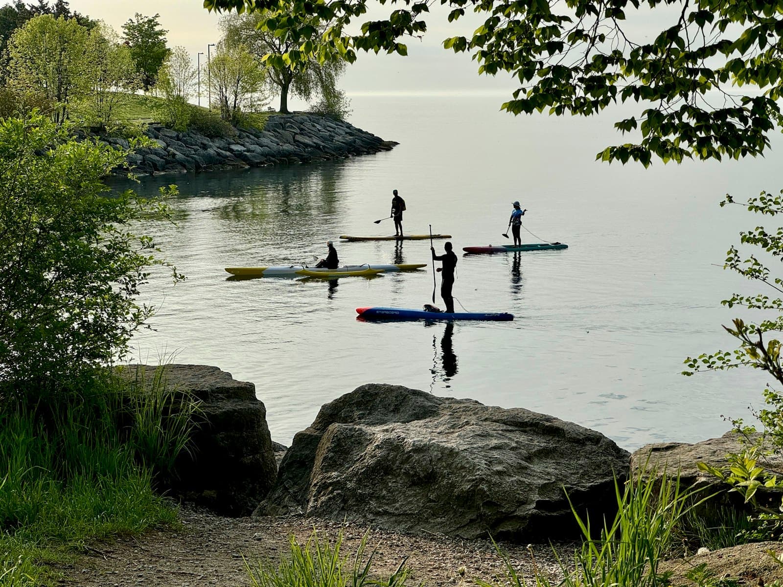 Paddlers on flat water beside a wooded shoreline