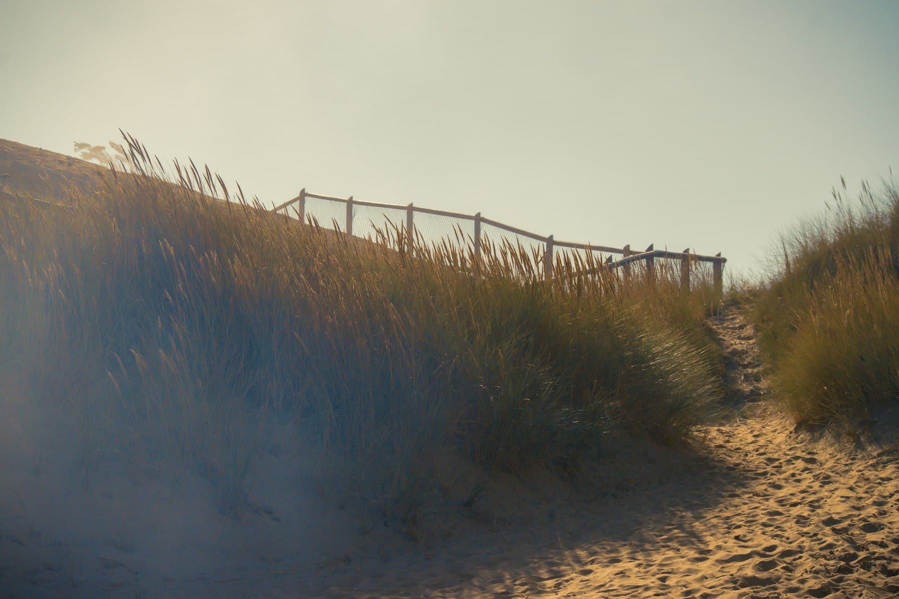 The cedar stair dropping through the dune grass to the beach