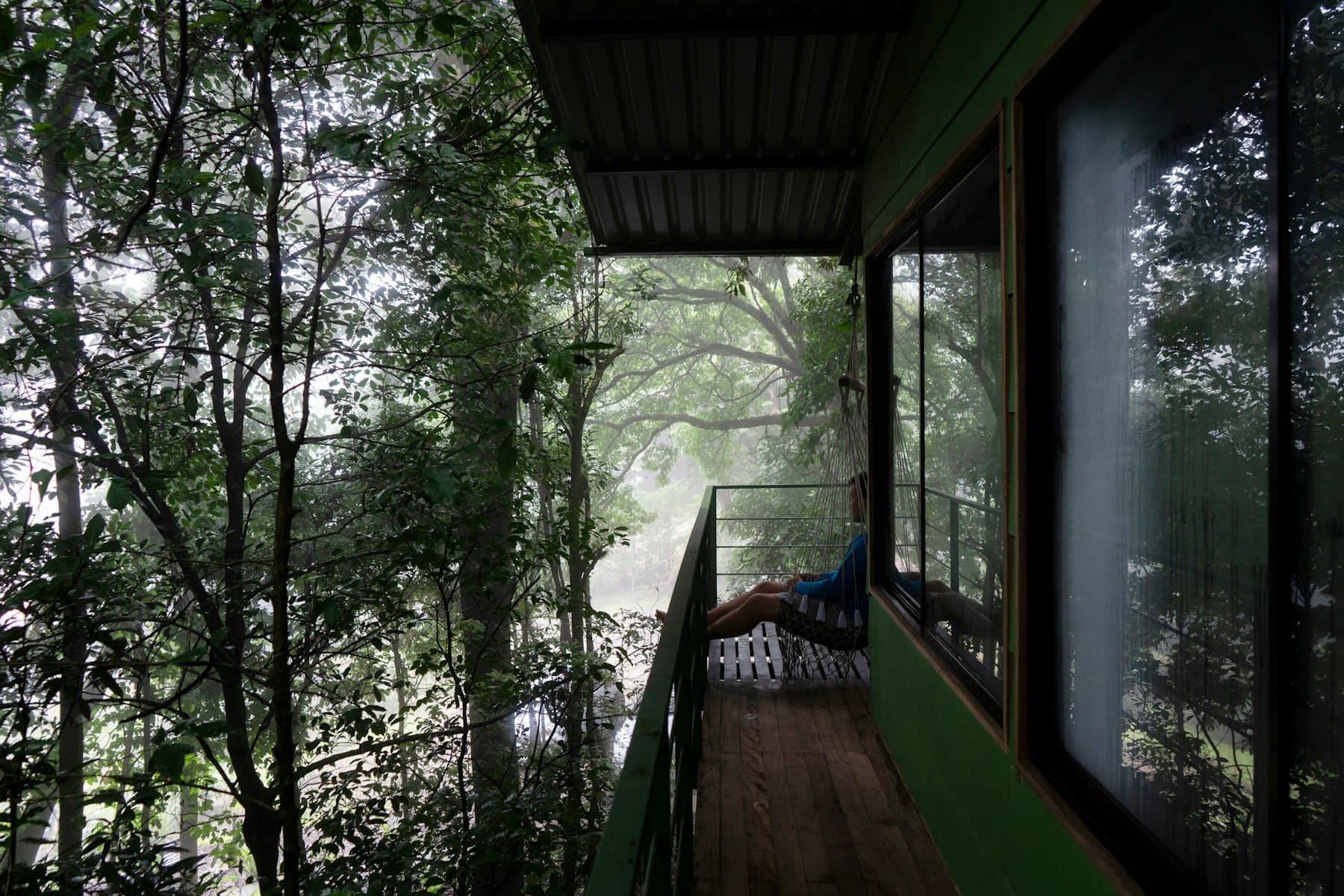 Harbor room looking straight into the treetops