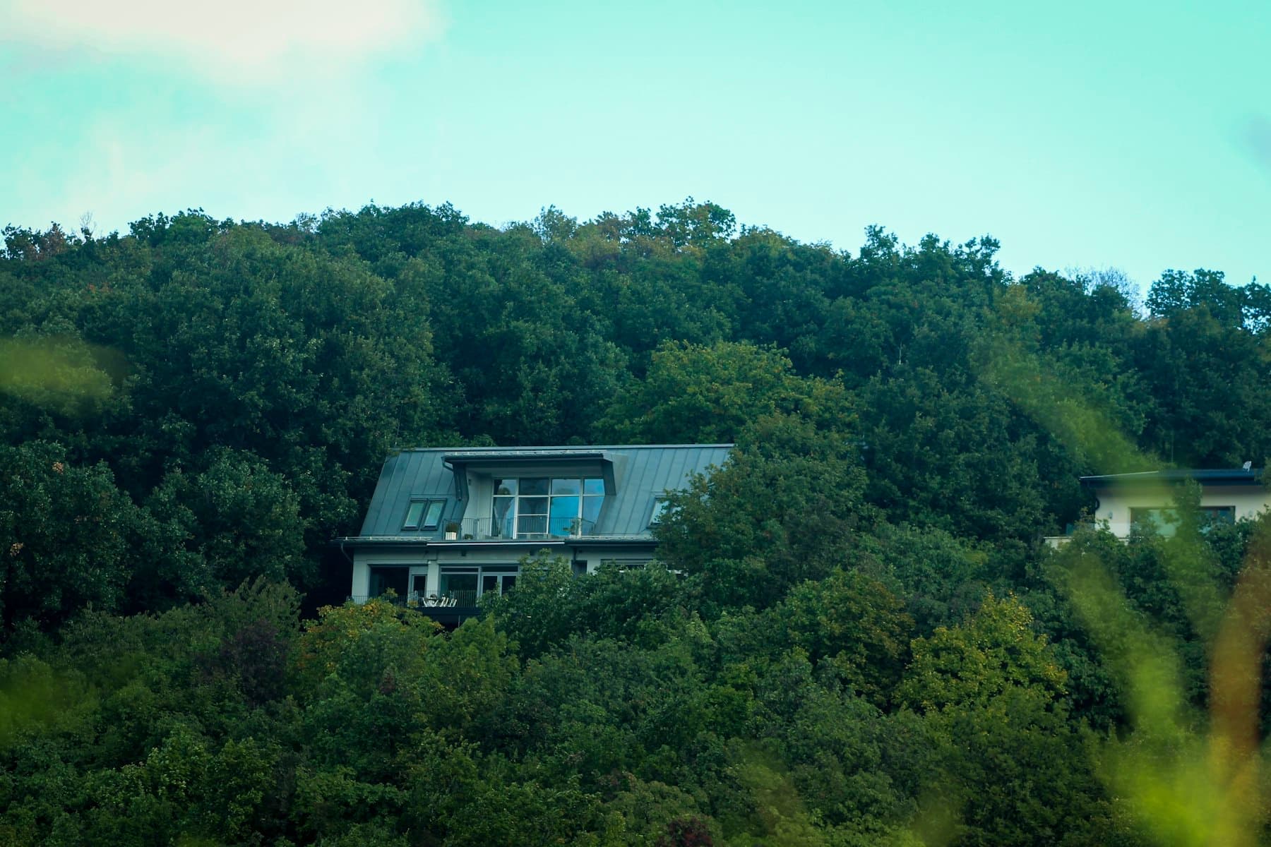 The house tucked into the wooded bluff above the water